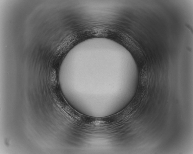 X0000100310748200806261202