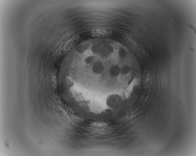 X0000100310749200806261202