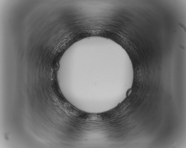 X0000100310750200806261202