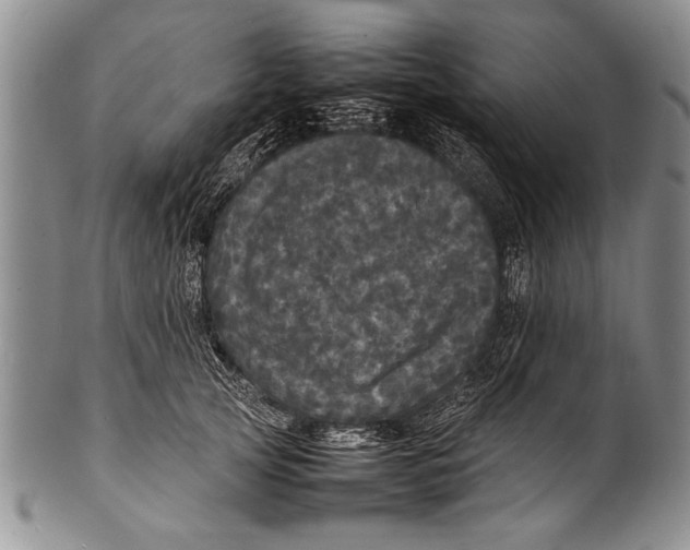 X0000100310753200806261202