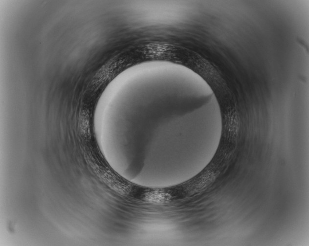 X0000100310754200806261202