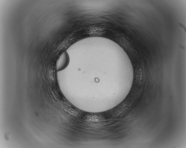 X0000100310755200806261202