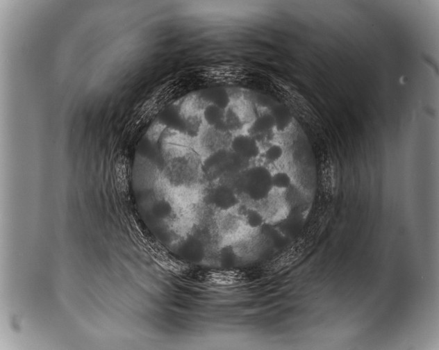 X0000100310757200806261202