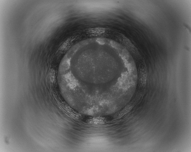 X0000100310758200806261202