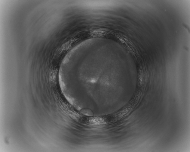 X0000100310759200806261202