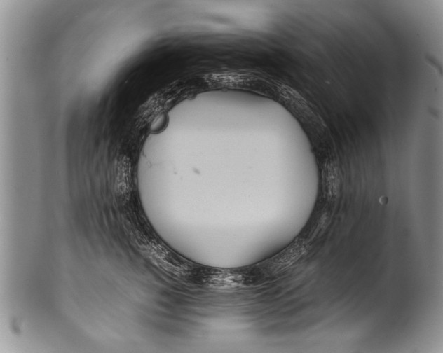 X0000100310760200806261202