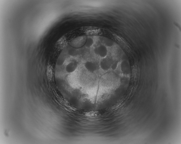 X0000100310761200806261202