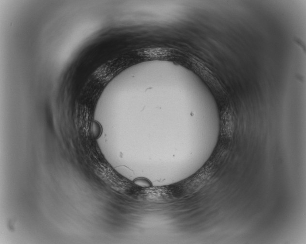 X0000100310762200806261202