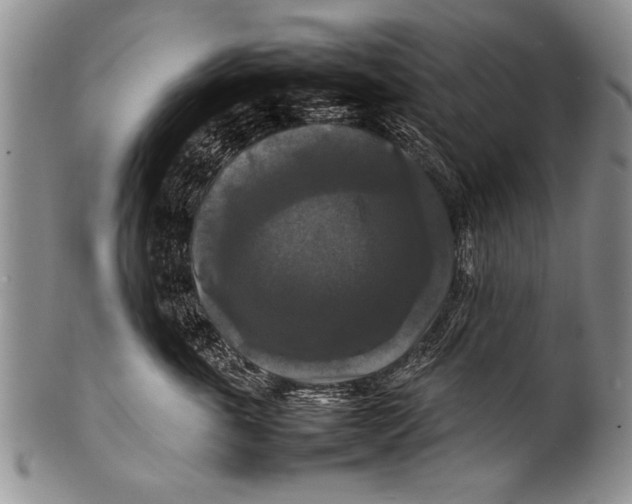 X0000100310763200806261202