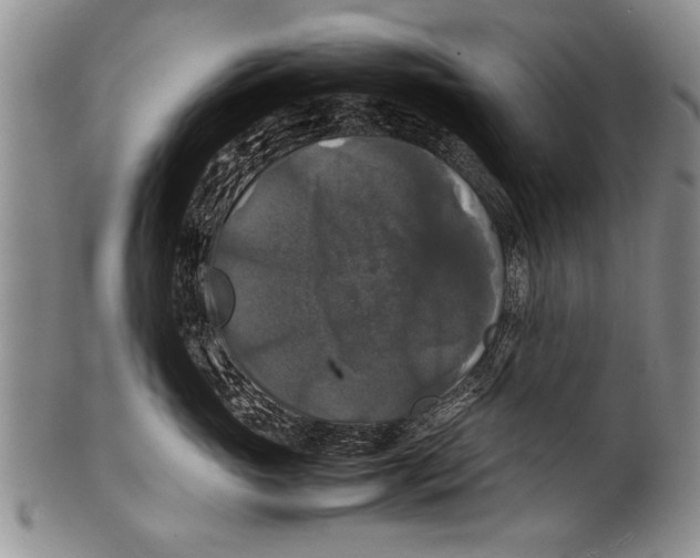 X0000100310765200806261202