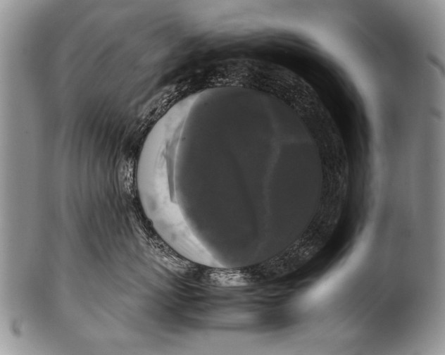 X0000100310767200806261202