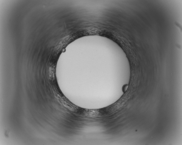 X0000100310768200806261202