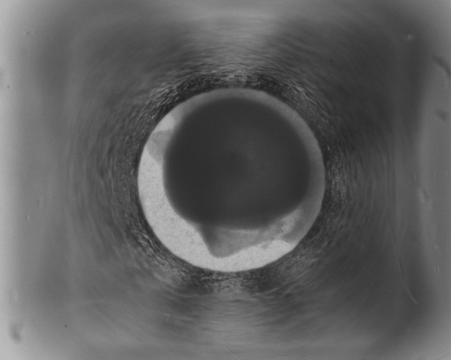 X0000100310769200806261201