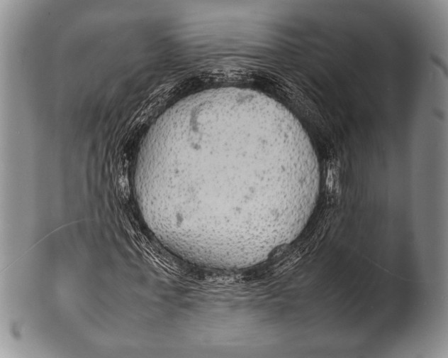 X0000100310771200806261201