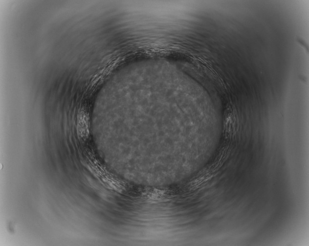 X0000100310772200806261201