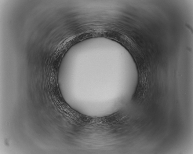 X0000100310773200806261201