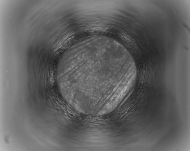 X0000100310774200806261201