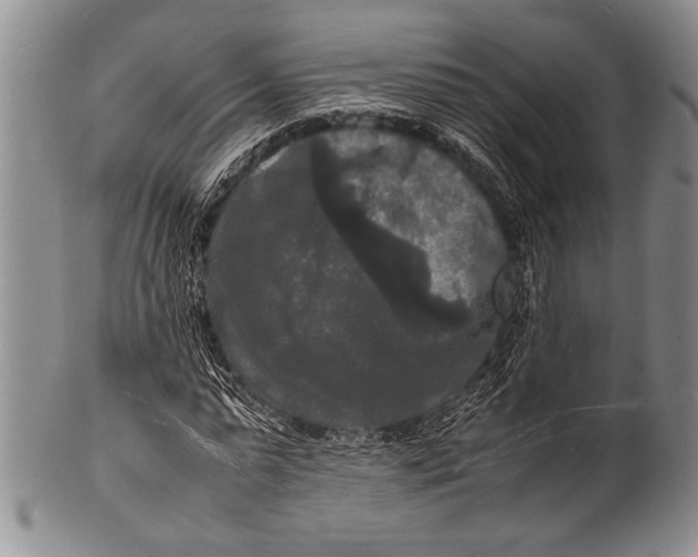 X0000100310775200806261201