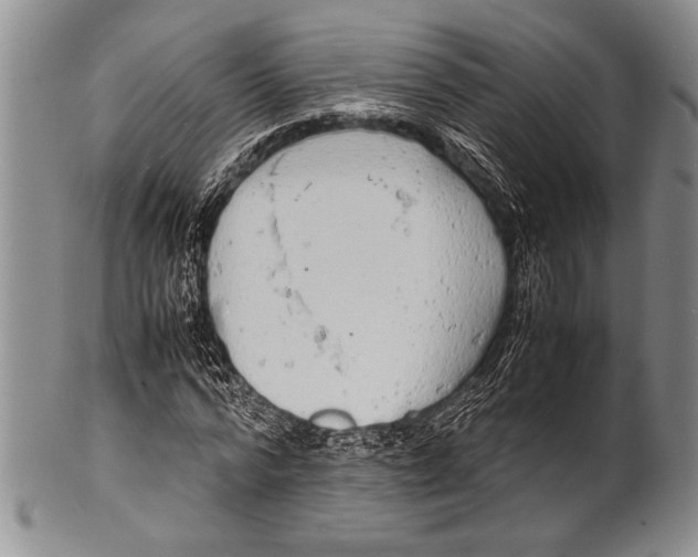 X0000100310776200806261201