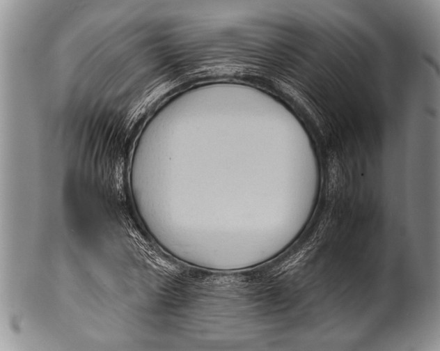 X0000100310778200806261201