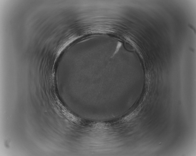 X0000100310779200806261201