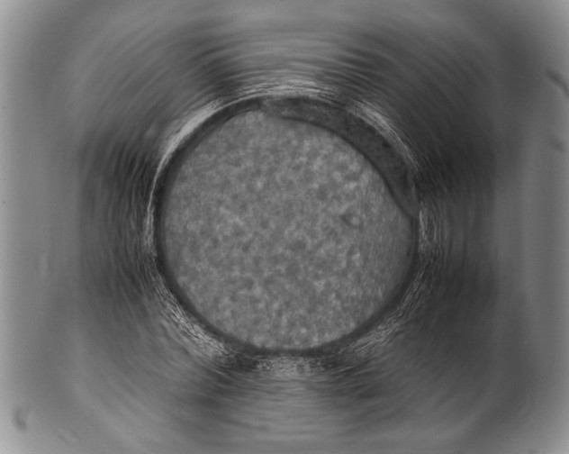 X0000100310780200806261201