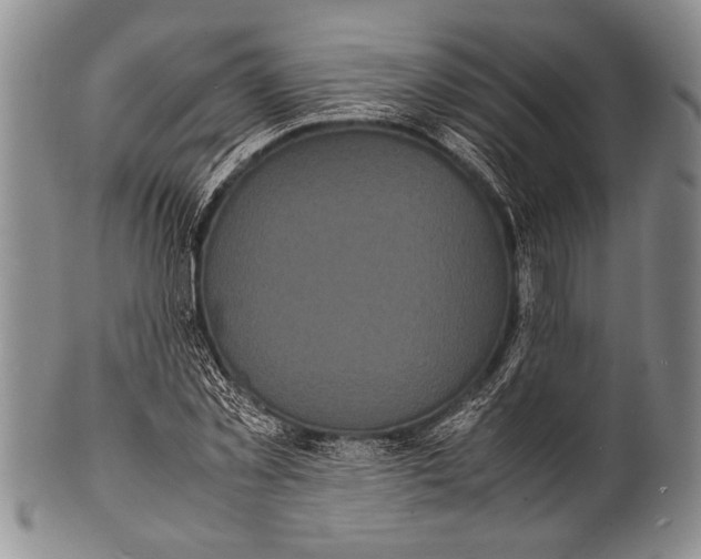 X0000100310781200806261201