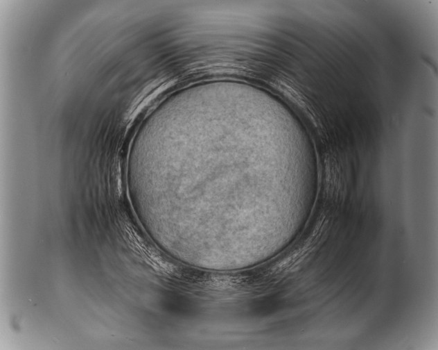 X0000100310782200806261201