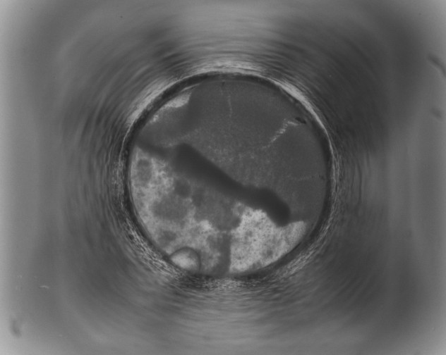 X0000100310783200806261201