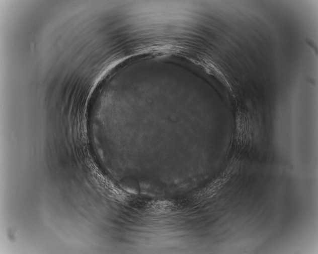 X0000100310784200806261201