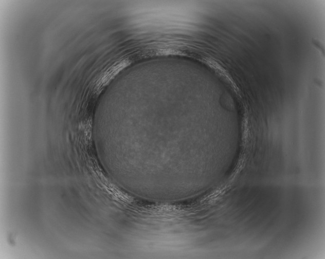 X0000100310785200806261201