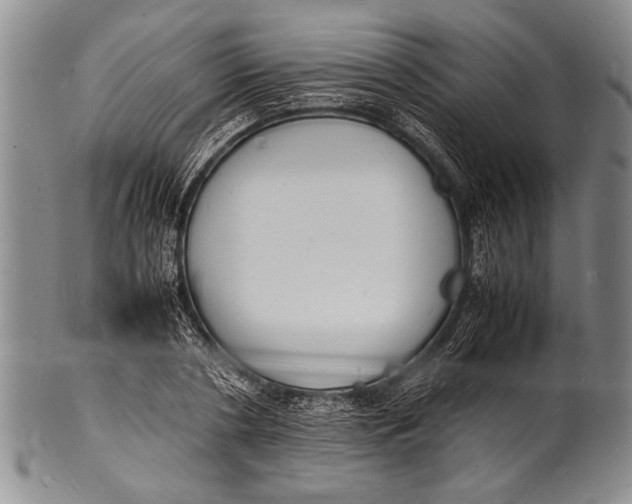 X0000100310786200806261201