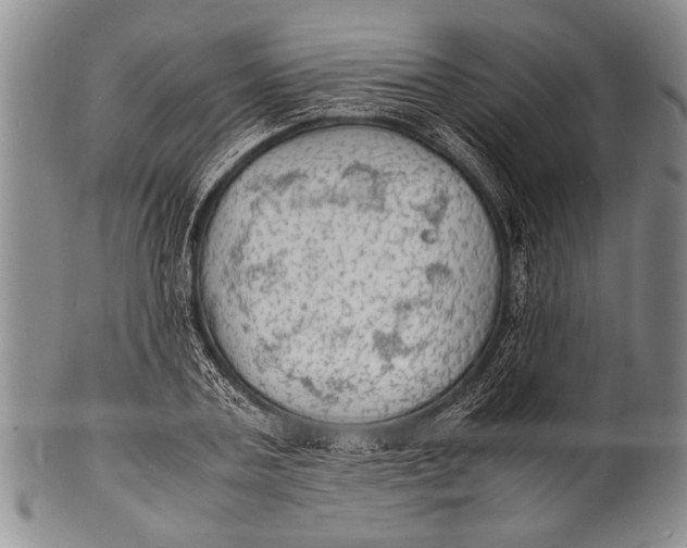 X0000100310787200806261201