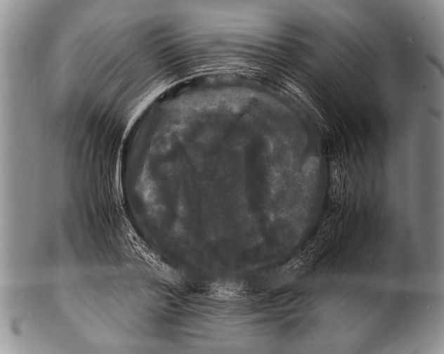 X0000100310788200806261201