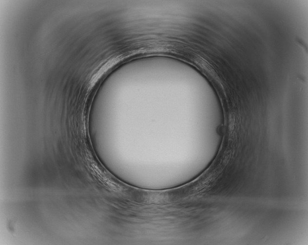 X0000100310789200806261201