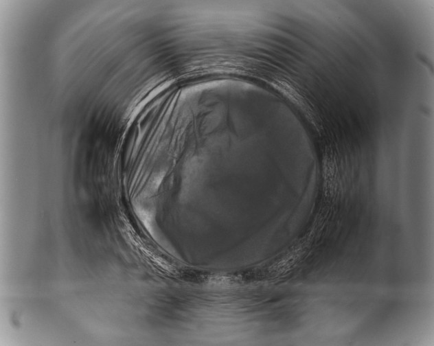 X0000100310790200806261201