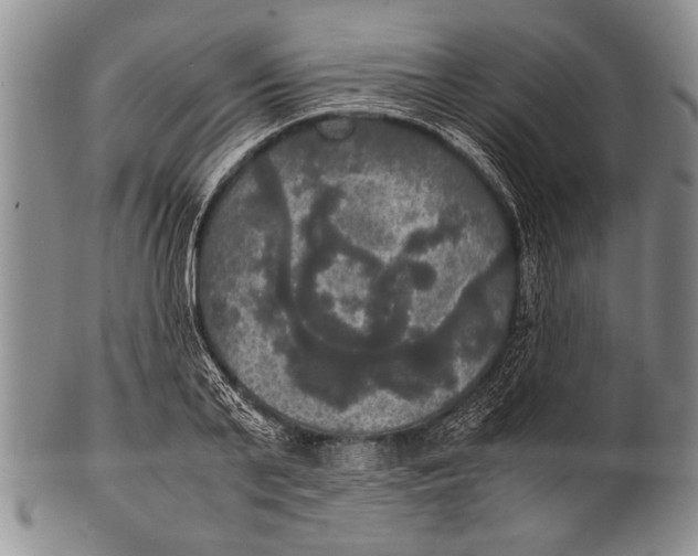 X0000100310791200806261201