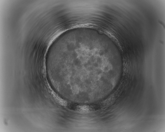 X0000100310792200806261201