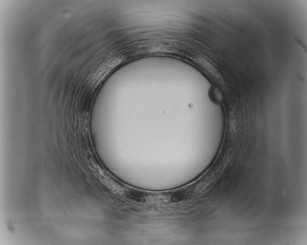 X0000100310793200806261201