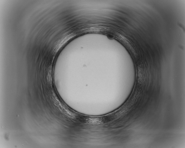 X0000100310794200806261201