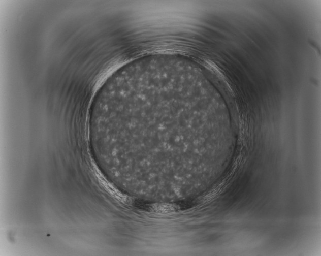 X0000100310795200806261201