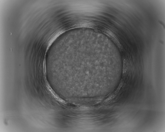 X0000100310796200806261201