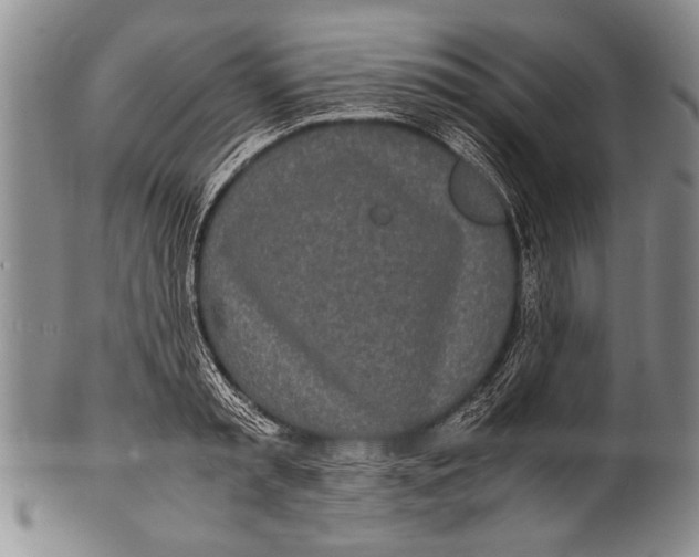 X0000100310797200806261201