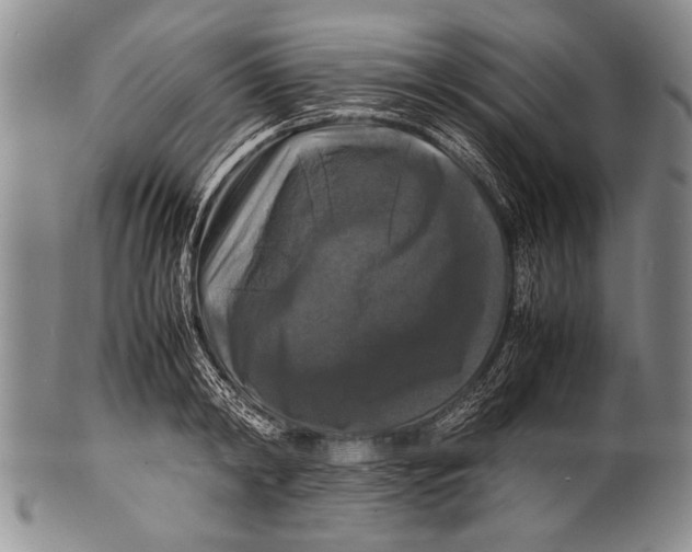 X0000100310798200806261201