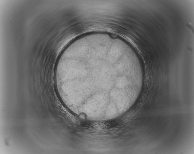 X0000100310799200806261201