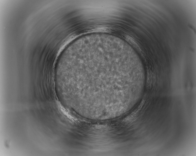 X0000100310800200806261201