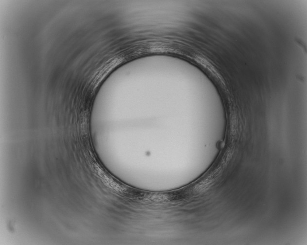 X0000100310801200806261201