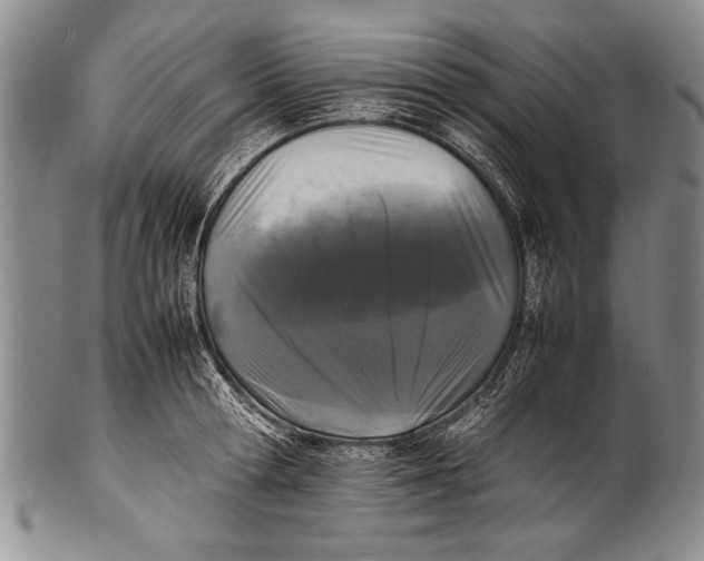 X0000100310802200806261201