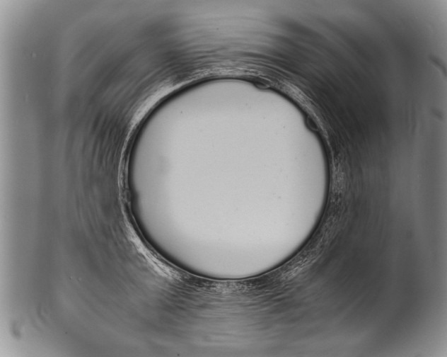 X0000100310803200806261201