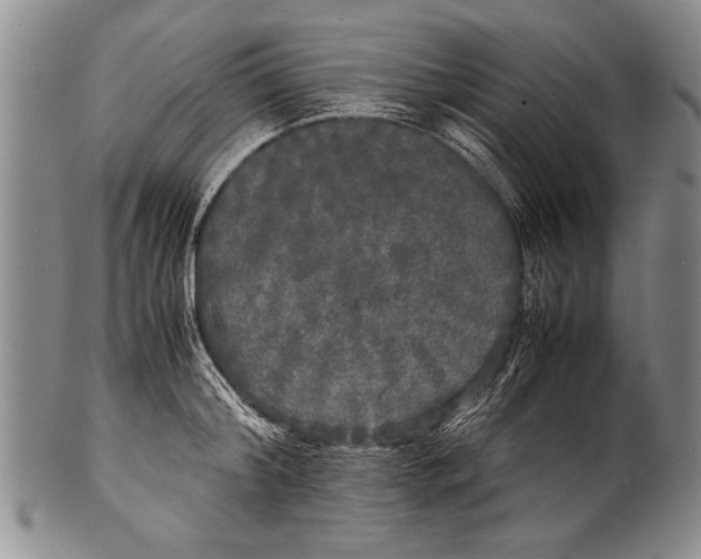 X0000100310804200806261201